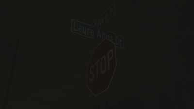 (intense eerie music) - The House on Laura Anne Dr.