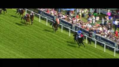 Intense
moments in the Derby - Horsepower