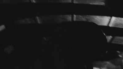 (intense music continues) - Divinity