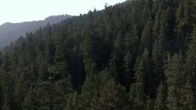 [intense music playing] - Expedition Bigfoot