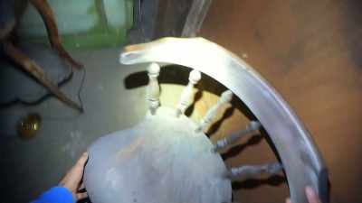 Internet, say a prayer
this chair doesn't break. - Deadstream