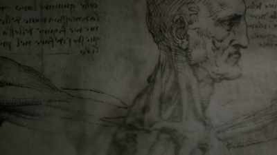 into-magical-remedies - Origins: The Journey of Humankind