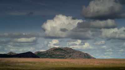 "Into this world of beauty - The American Buffalo