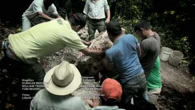 Intrepid archaeologists - Lost Treasures of the Maya