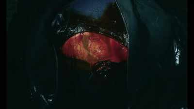 [intriguing music playing] - Griselda