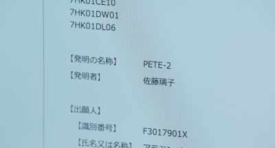 INVENTOR OF PETE-2: RIKO SATO - The Door into Summer