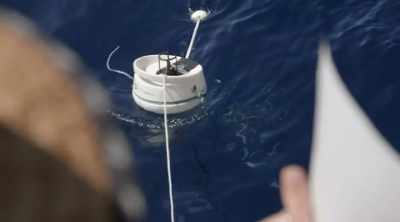 Investigators wait to see if th great white will
break through the constant electric current. - Shark Attack Files