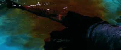 - Mr Creasy? - Man on Fire