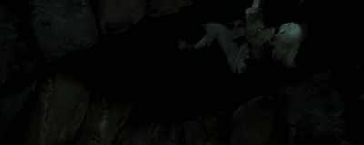 [Iris panting] - Baghead