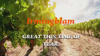 Irmingblam is great
this time of year! - Weird City