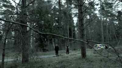 Is this a coincidence? - Wallander