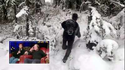 Is that a dog running towards-- - The Osbournes Want to Believe