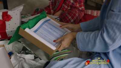 Is this a financial ledger? - Sense, Sensibility & Snowmen