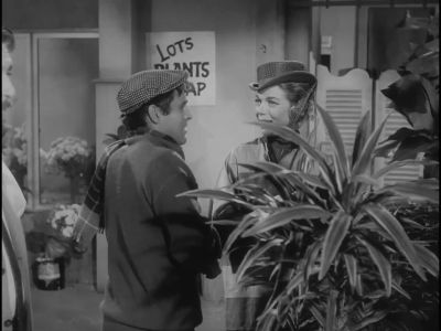 Is this a freak or can more be raised from the seeds - The Little Shop of Horrors