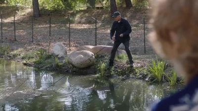 Is that a kennel? - NCIS