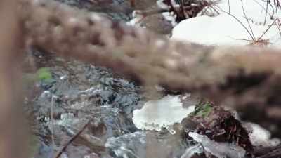 Is that a possibility
that she was going there - The Disappearance of Maura Murray