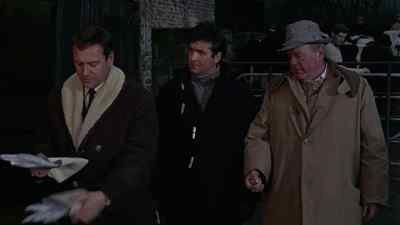 - Is that all the cattle?
- That's all. - Island of Terror