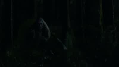 Is anyone else hearing this signal? - The 100