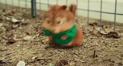 Is anyone home? - Alvin and the Chipmunks: The Squeakquel