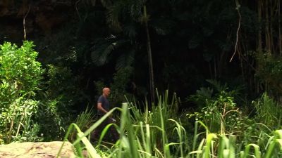 Is anyone there?! - Lost
