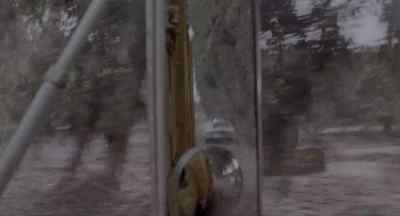 Is anything
going on back there? - Tammy and the T Rex
