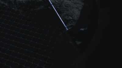 is-brutally-murdered-buried-in-backyard - Buried In The Backyard