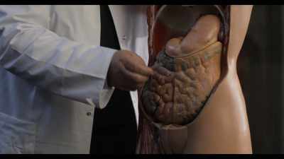 Is competitive eating
damaging your stomach? - Hack Your Health: The Secrets of Your Gut