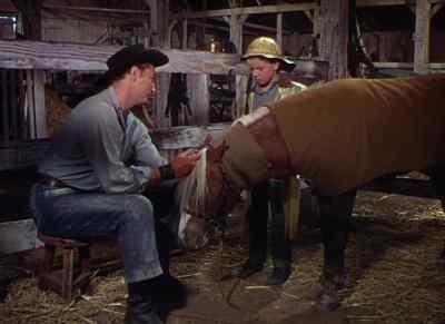 Is he going
to get well? - The Red Pony