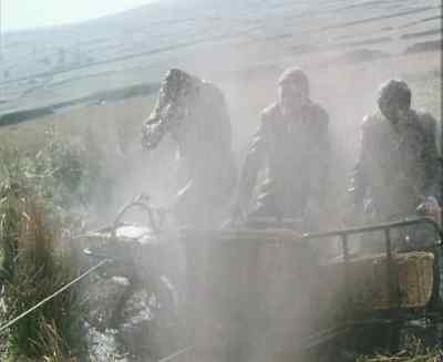 Is that gold? - Last of the Summer Wine