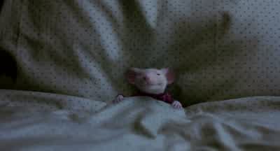 Is he gonna be all right? - Stuart Little