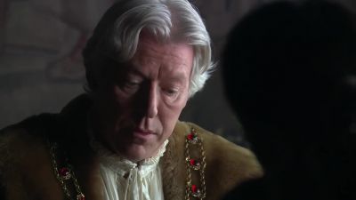 Is he handsome?
 - The Tudors