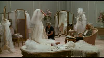 Is Harry bringing anyone to the wedding? - When Harry Met Sally