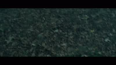 Is he dead? - Predators