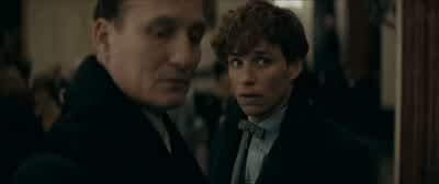 Is he here? - Fantastic Beasts: The Secrets of Dumbledore