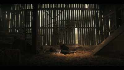 ‐Is someone here?
‐No, no. You're safe. - Y: The Last Man
