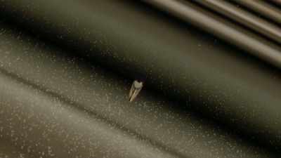 Is it that the
rings are so unusual, - Cosmos: Possible Worlds