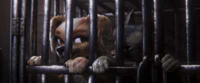 Is it just me, Gracie,
or is that Conrad - Gracie & Pedro: Pets to the Rescue
