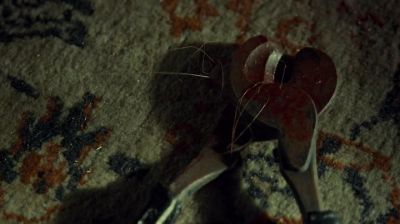 - Is that Mara's hair and blood?
- Could be. - Haven