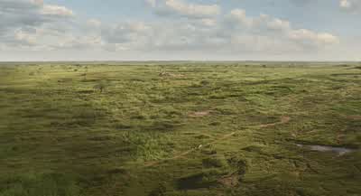 Is this Milele? - Mufasa: The Lion King