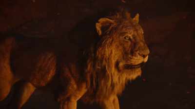 "is never full." - The Lion King