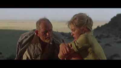 Is it not possible for
you to rest? - Sands of the Kalahari