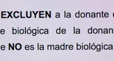IS NOT THE BIOLOGICAL MOTHER - Parallel Mothers