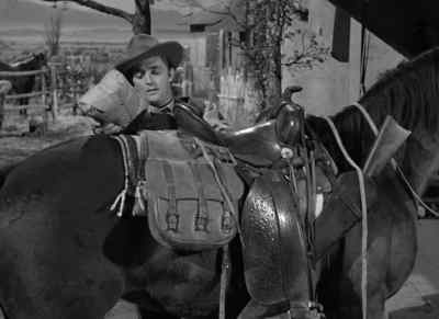 Is that package for me? - Pursued
