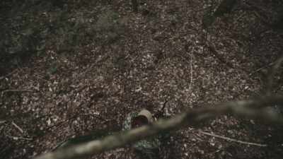 Is it possible for
an 82-year-old man - Missing 411: The Hunted
