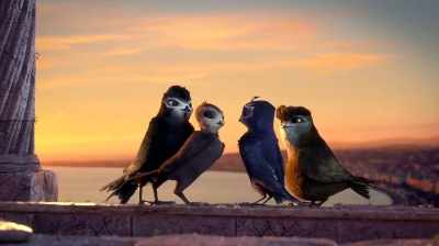 Is it really true that
gulls attack rats? - Manou the Swift