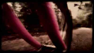 Is that Rosie? - The Killing