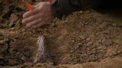 -IS THAT A RIB?
-THAT'S A BIG RIB. - Dino Hunters