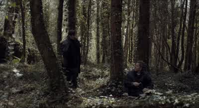 Is that a sparrow up in that tree? - The Lobster