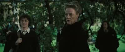 - Is that a--? - Harry Potter and the Goblet of Fire