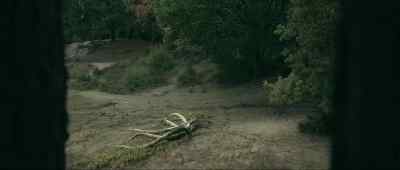 Is that--
is that alive? - War of the Worlds: The Attack